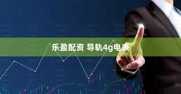 乐盈配资 导轨4g电表